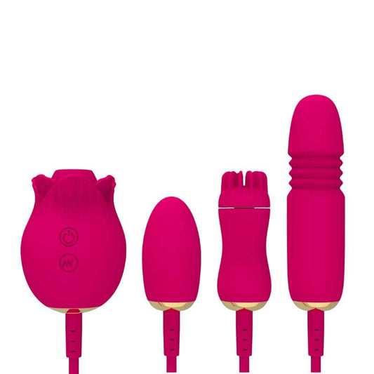 4 In 1 Detachable Rose Toy